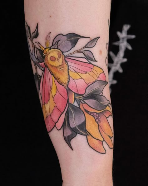 Rosy Moth Tattoo, Rose Maple Moth Tattoo, Art Nouveau Moth Tattoo, Maple Moth Tattoo, Rosey Maple Moth Tattoos, Pink Moth Tattoo, Rosy Maple Moth Tattoo, Pink Moth, Geometric Line Tattoo