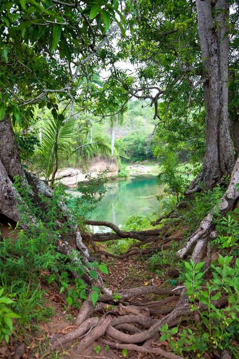 Cuba's nature Embracing Natural Beauty, Cuba Nature, Cuba People, Havanna Cuba, Brushing Hair, Secret Place, Vinales, Havana Cuba, Photo Of The Day