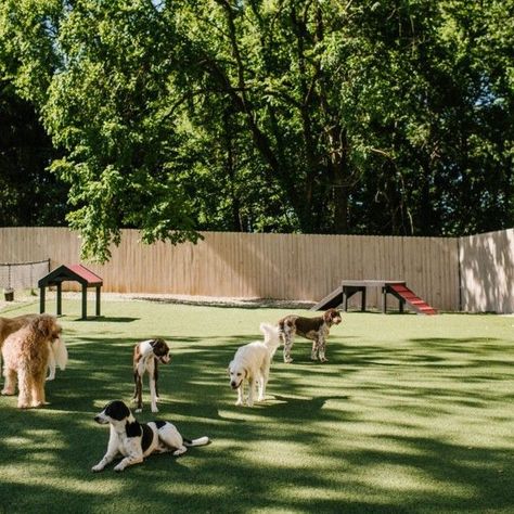 Dogs In Backyard, Dog Park Design Landscape Architecture, Pet Event Ideas, Home Dog Park, Dog Park Aesthetic, Dog Park Ideas, Pet Friendly Cafe, Dog Retreat, Play Area Ideas