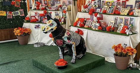 How to honor your beloved pets that have crossed the 'Rainbow Bridge' at the LA Zoo's ofrenda Pet Ofrenda, Altar Ideas, La Art, Gift Of Time, Make A Gift, Day Of The Dead, Dogs Cats, Dia De Muertos, Four Legged