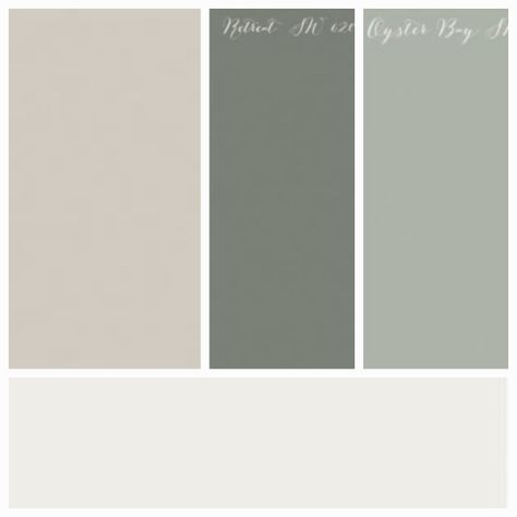 Agreeable Gray And Sage Green, Sage Accent Wall Living Room, Gray Closet, Green Accent Wall, Dixon Homes, Worldly Gray, Grey Accent Wall, Green Accent Walls, Living Room Wall Color