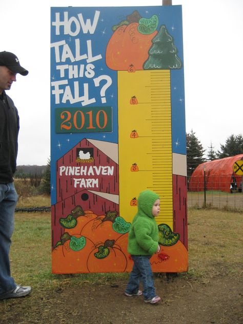 how tall this fall, sign How Tall This Fall Pumpkin Patch, How Tall This Fall Sign, Fall Festival Signs, Pumpkin Patch Business, Festival Signs, Pumpkin Patch Activities, Fall Photo Booth, Fall Festival Decorations, Fall Displays