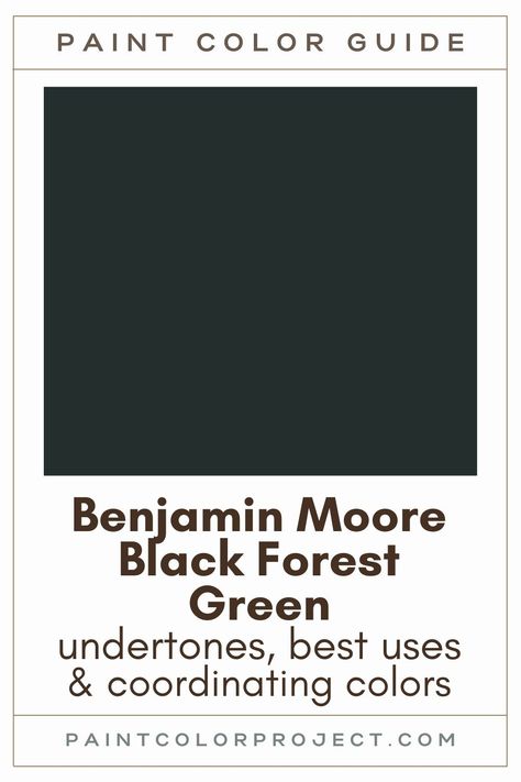 Green Black Walls, Benjamin Moore Black Forest Green, Dark Green Front Door, Green Paint Colors Benjamin Moore, Forest Green Paint Color, Benjamin Moore Black, Forest Green Bedrooms, Emerald Green Paint, Green Bedroom Paint