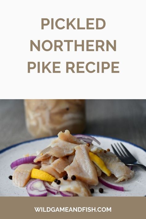 Northern Pike Recipe, Pike Recipes, Pickled Fish Recipe, Pickled Fish, Northern Pike, Lent Recipes, Wild Game Recipes, Fish Salad, Pickling Recipes