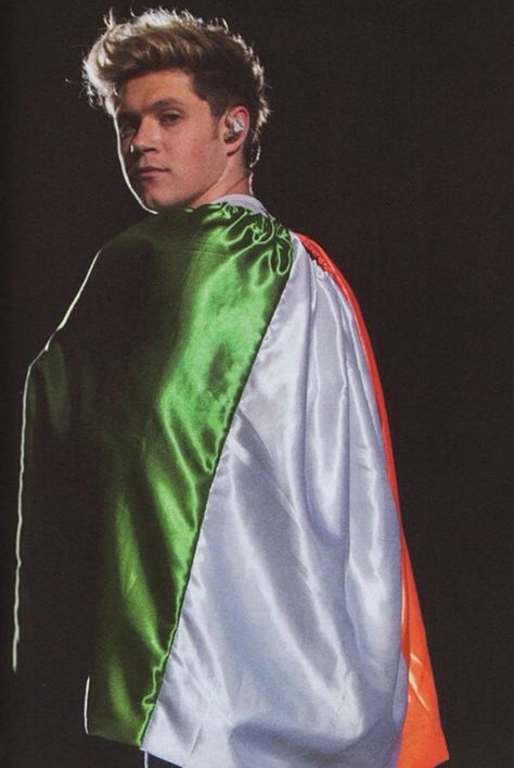 Niall with an Irish Flag One Direction Fotos, Four One Direction, Niall Horan Baby, Gambar One Direction, One Direction Wallpaper, One Direction Photos, Irish Princess, Irish Boys, One Direction Pictures