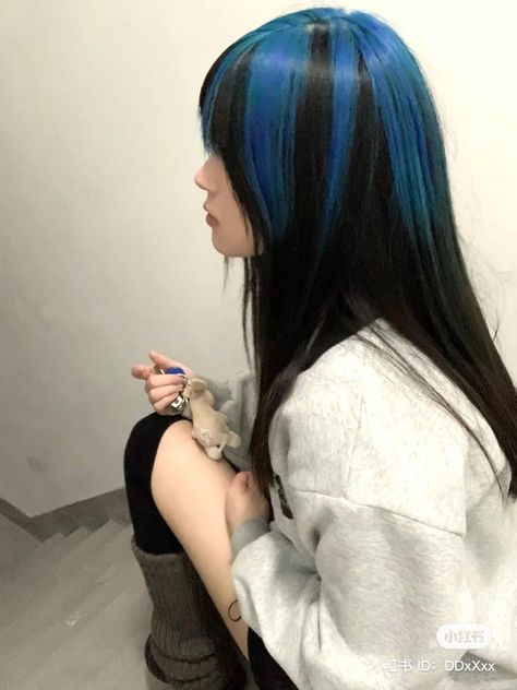 Hair Dye On Top Of Head, Blue Draculaura Hair, Black Hair Colored Tips, Angel Ring Hair Dye, Blue And Black Hair Ideas, Japan Hair Color, Black And Blue Hair, Blue And Black Hair, Cool Haircuts For Women