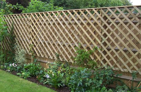 Trellis Against Fence, Backyard Decking Ideas, Porch Roof Design, Garden Trellis Fence, Vine Ideas, Creative Garden Ideas, Fence Extension, Decking Ideas, Planter Trellis