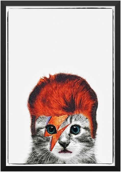 David Bowie Cat print available from www.moanjam.uk David Bowie Cat, Bowie Cat, David Bowie, Cat Print, Pet Shop, Pet, Animals, Quick Saves