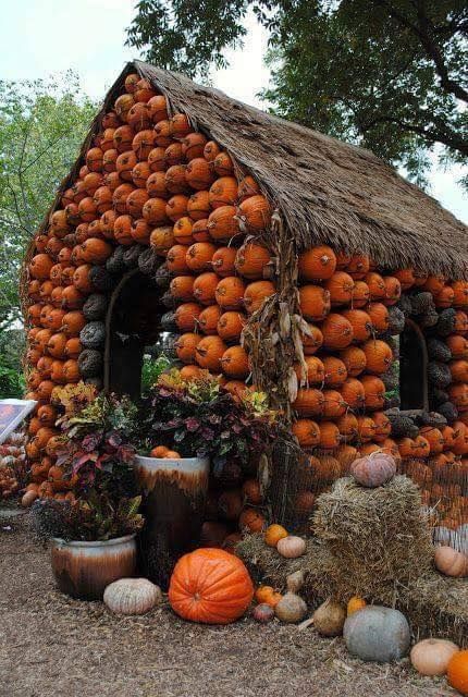 How about a rustic cabin made out of pumpkins??? So cute! Pumpkin House, Autumn Decorating, Fabulous Fall, Autumn Beauty, Lombok, Fall Favorites, Fall Harvest, Fall Fun, Autumn Inspiration