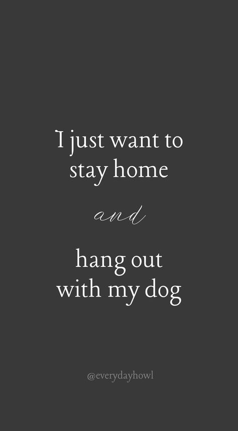 I just want to stay home and hang out with my dog. Just Wanted To Say Hi Quotes, Staying Home Quotes, Me And My Dog Quotes, Dog Lovers Quotes, Dog Best Friend Quotes, Dog Mom Quotes, Dog Quotes Love, Dog Quotes Funny, Crazy Dog Lady