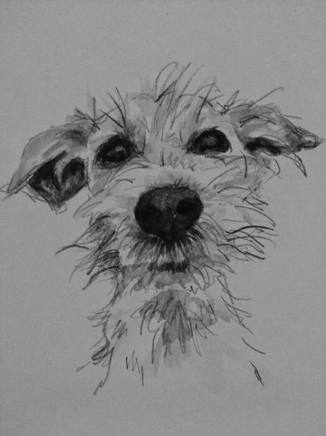 My Sam...I'll always miss you!❤🐾 Lurcher Drawing, White Drawing, Drawing Prompt, Art Et Illustration, Black And White Drawing, Arte Animal, Dog Drawing, Dog Paintings, Dog Portraits