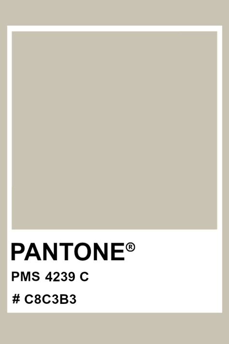 PANTONE 4239 C #pantone #color #PMS #hex Pantone Neutral Colors, Beige Color Pantone, Pantone Neutrals, Neutral Pantone, Beige Pantone, Biofilic Design, Dark Academia Color Palette, Pantone Matching System, Pantone Swatches