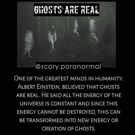 Ghost Facts, Paranormal Facts, Short Creepy Stories, Physcology Facts, True Interesting Facts, Real Haunted Houses, Scary Facts, Unexplained Phenomena, Creepy Facts