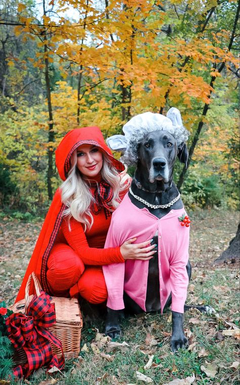 Great Dane Halloween Costumes Diy, Dog Wolf Costume, Dog Costumes Big Dogs, Duo Halloween Costumes With Dog, Matching Halloween Costume With Dog, Costume For Dogs And Owners, Large Dog Costume Ideas, Halloween Dog Costume With Owner, Halloween Costume Dog And Owner