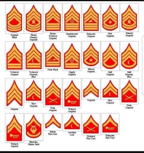 Usmc Humor, Usmc Ranks, Warrior Ethos, Marine Corps Uniforms, Usmc Uniforms, Military Emblems, Marine Corps Officer, Marine Son, Marine Corps Ranks