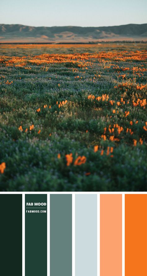 Jewel Tones Colour Combo – Colour Palette #96 1 - Fab Mood | Wedding Colours, Wedding Themes, Wedding colour palettes Wedding Colour Palettes, Fab Mood, Mood Wedding, Teal Color Palette, Orange Color Schemes, Orange Color Palettes, Wedding Colours, Color Schemes Colour Palettes, Wedding Colour