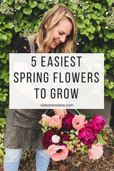 5 Easiest Spring Flowers to GROW! — ciderpress lane What To Plant In The Spring, How To Grow Daliah Flower, South Facing Flower Bed Ideas, Flowers To Grow In A Greenhouse, Flower Garden Around House, Easy To Grow Flowers From Seeds, Flower Garden In Front Of House, Flowers That Bloom In Spring, Flowers Around Shed