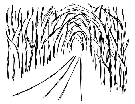 Overgrown Forest, Dark Trees, Nature Road, Tree Tunnel, Forest Drawing, Dark Tree, Tree Sketches, Forest Path, Vector Sketch