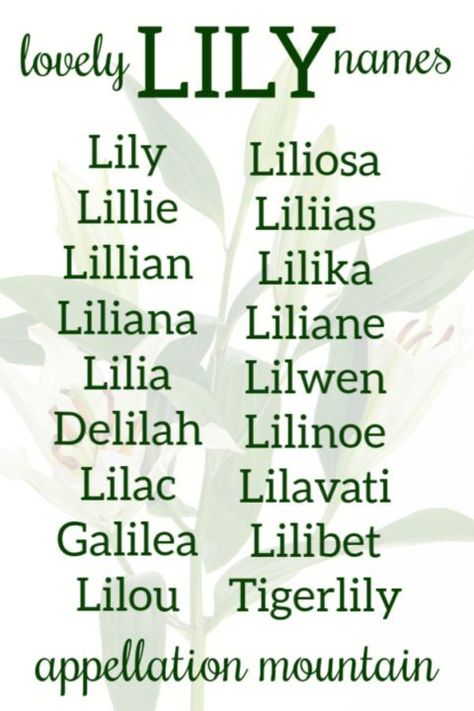 Love Lily, but looking for something a little longer? Lots of possibilities to consider! #girlnames #babynames #namingbaby #appellationmountain Children Of Lilith, Lilith Name Meaning, Lillian Aesthetic, Lilith Name, Lily Name, Power Ideas, Oc Names, Fantasy Character Names