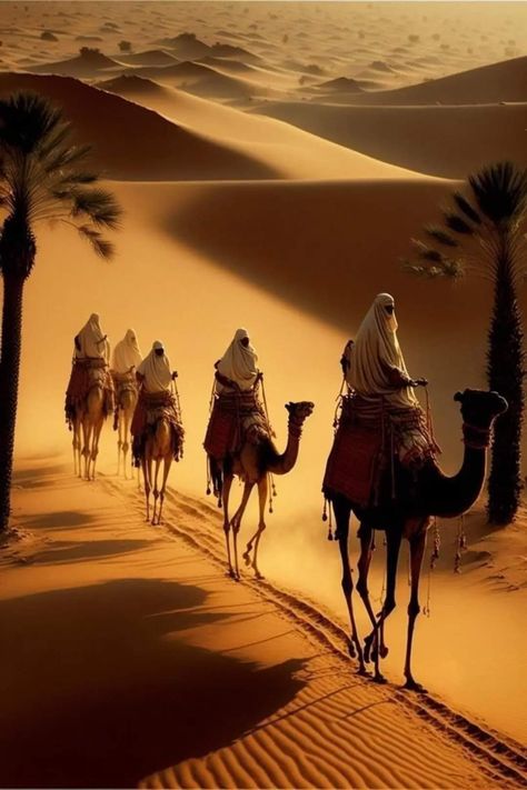 Camels Desert, Desert Nomad, Camels Art, Deserts Of The World, Hot Desert, Arabian Art, Hd Nature Wallpapers, Desert Life, Islamic Artwork