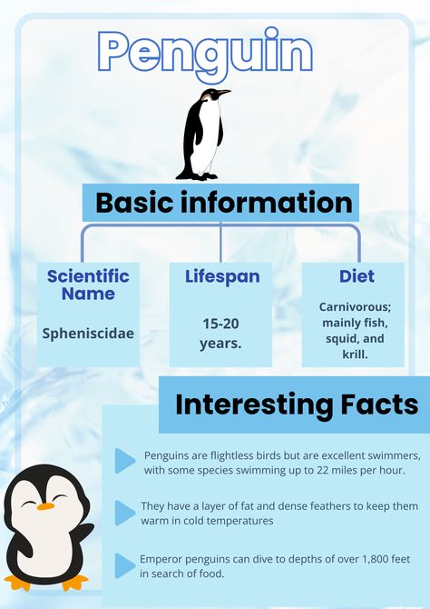 Penguin poster with interesting facts! #animal#poster#penguin Penguin Facts Preschool, Penguin Poster, Penguin Facts, All About Penguins, Magellanic Penguin, Emperor Penguin, Flightless Bird, Animal Poster, Animal Science