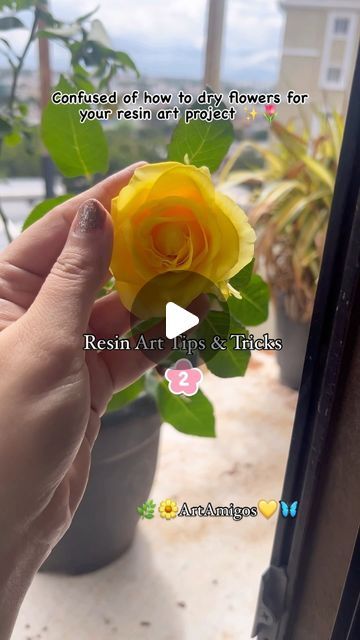 AnH|ArtAmigos By Aakansha Mehta on Instagram: "Resin Art Tips & Tricks No.2 
Always Wondering How to Dry your flowers Before Adding Resin to it!!!!❤️🌹🌸🌷✨
Check out my Reel and Learn all about it✨✨
Trust the Process❤️💯
~ 
#resinarthacks #resinarttipsandtricks #resinartinst #resinartwork #coimbatoreworkshop" How To Dry Flowers For Resin Art, Dry Flowers For Resin, How To Dry Flowers, Dry Flowers, Resin Artwork, Trust The Process, Tips Tricks, Art Tips, Resin Art