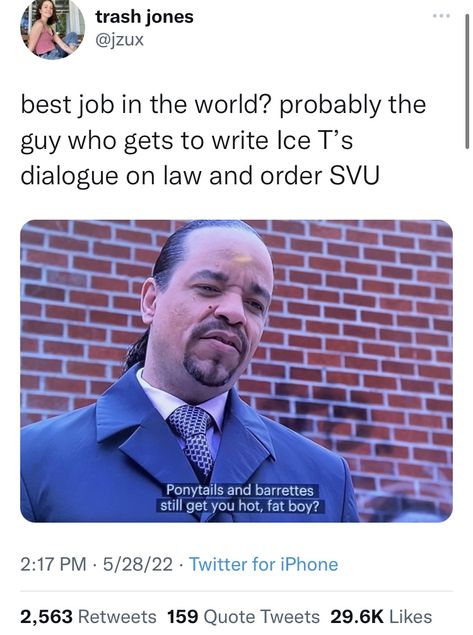 Svu Law And Order, Svu Funny, Humorous Pictures, Meme Pic, Law And Order: Special Victims Unit, Dramatic Music, Special Victims Unit, Movie Memes, Law And Order Svu