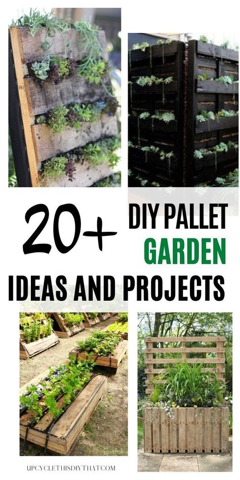 Diy Pallet Garden Ideas, Diy Pallet Garden, Pallet Garden Ideas, Tiny Yard, Flower Garden Images, Palette Garden, Vertical Pallet Garden, Herb Garden Pallet, Pallet Projects Garden