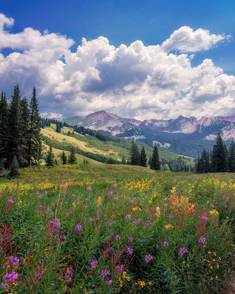 Spring Landscapes, Crested Butte Colorado, Crested Butte, Pretty Landscapes, Spring Landscape, 영감을 주는 캐릭터, Nature Landscape, Nature Aesthetic, Pretty Places