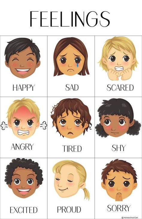 Feelings Poster Preschool, Emotions Wall Display, What Is This Worksheet, What Is This, Digital Art Basics, This Is Me, Feeling Worksheet, Feelings Activities Preschool, Feeling Poster