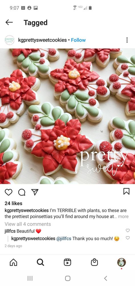 Pointsetta Cookies Decorated, Poinsettia Sugar Cookies, Poinsettia Cookies Decorated, Poinsettia Cookies, Christmas Icing, Christmas Bouquet, Xmas Cookies, Christmas Sugar Cookies, Christmas Cookies Decorated