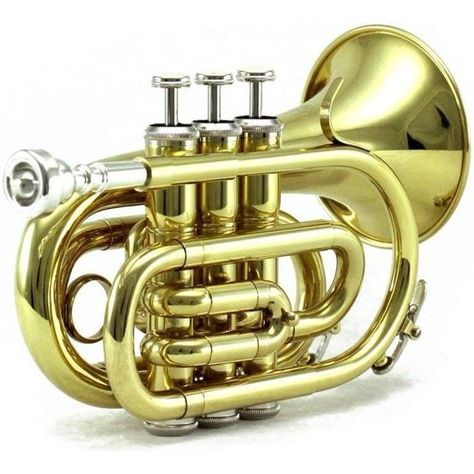 This trumpet is beautiful and well engineered, precise fits and perfect round tubing resulting in less turbulence and smooth air flow
The exquisite durable case made with velvet lined interior, elegant and stylish Trumpet Art, Pocket Trumpet, Trumpet Case, Sky Music, Musical Art, Trumpets, Trombone, Happy Colors, Orchestra