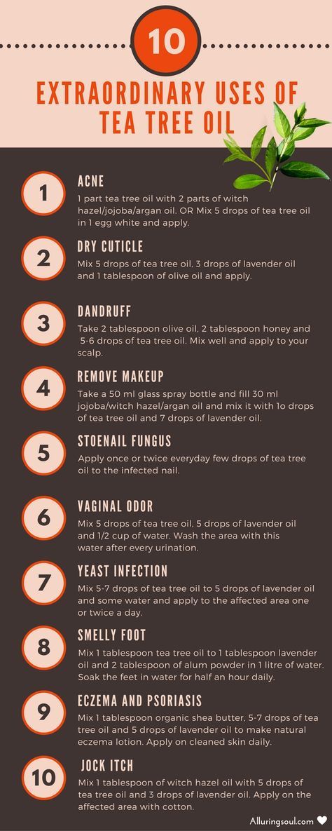 Tea Tree Oil Uses – Amazing Benefits for Skin and Hair Best Tea Tree Oil, Tea Tree Oil For Hair, Tee Tree Oil, Tea Tree Oil Uses, Oily Skin Remedy, Tea Tree Oil For Acne, Coconut Benefits, Coconut Oil Hair Mask, Tips For Oily Skin