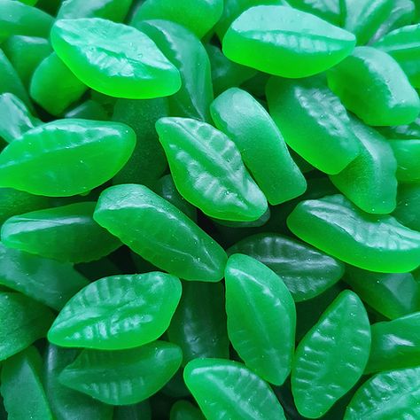 What animals ACTUALLY like spearmint leaves...?! I know you are out there because we go through so many of them! 😰 🤢 They are an acquired taste for sure! Like who chooses to have a lolly and says "you know what, I feel like eating a toothpaste-flavoured one" 😂😅 Green Candy, Syrup, Jelly, I Know, Candy