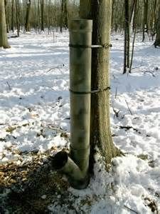 Homemade deer feeder: HOMEMADE DEER FEEDER Pvc Deer Feeder, Gravity Deer Feeders, Deer Feeder Diy, Pvc Chicken Feeder, Deer Feed, Hunting Shack, Food Plots For Deer, Deer Feeders, Bow Hunting Deer