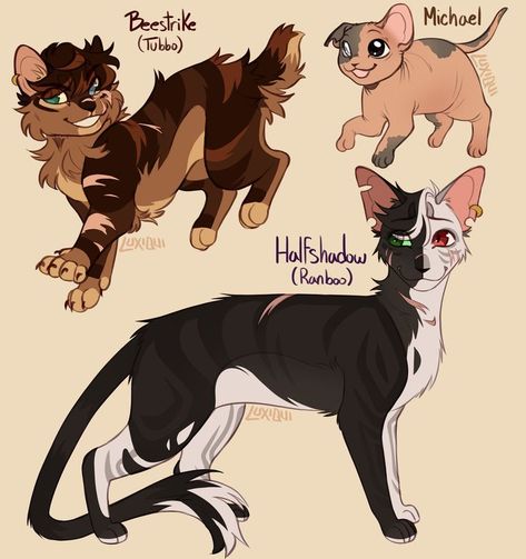 beeduo as warrior cats?? art: @ luxiqui_ #ranboofanart #tubbofanart #beeduofanart #beeduo #ranboo #tubbo Roblox Warrior Cats, Cat Fanart, Cat Warriors, Warrior Cats Series, Warrior Cats Books, Warrior Cats Fan Art, Warrior Cat Drawings, Warrior Cat Oc, Cat Oc