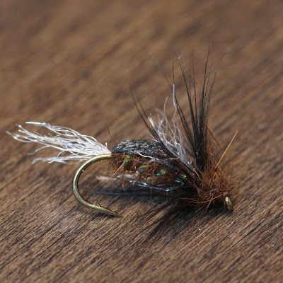 Best Trout Flies, Pike Fish Recipes, Fly Fishing For Beginners, Drop Shot Rig, Caddis Flies, King Salmon, Fly Fishing Flies Pattern, Fly Fishing Lures, Fishing For Beginners