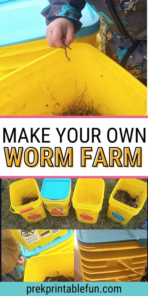 Red Worm Farm, Earthworm Preschool Activities, Pre K Worm Activities, Classroom Worm Farm, Composting Preschool Activities, Diy Earthworm Farm, Worm Study Preschool, Preschool Worm Activities, Liquid Worms Science Experiment