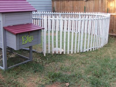 Finally a Farm Girl!  Discarded trampoline frame re-purposed into a safe "play pen" for the hens. Frame wrapped with chicken wire and completely covered on the top with bird netting. A roll of picket fencing gives it some cottage charm. Trampoline Ideas, Coop Accessories, Old Trampoline, Picket Fencing, Pig Ideas, Farm Chickens, Backyard Gardens, Chicken Pen, Backyard Trampoline