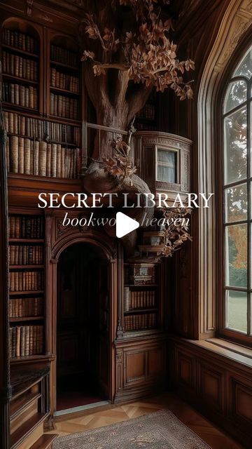 Secret Library, Secret Library Room, Reading Space Ideas, Dream Library Home, Home Library Ideas Cozy, Home Library With Fireplace, Old Libraries, Halloween Music, Library Room