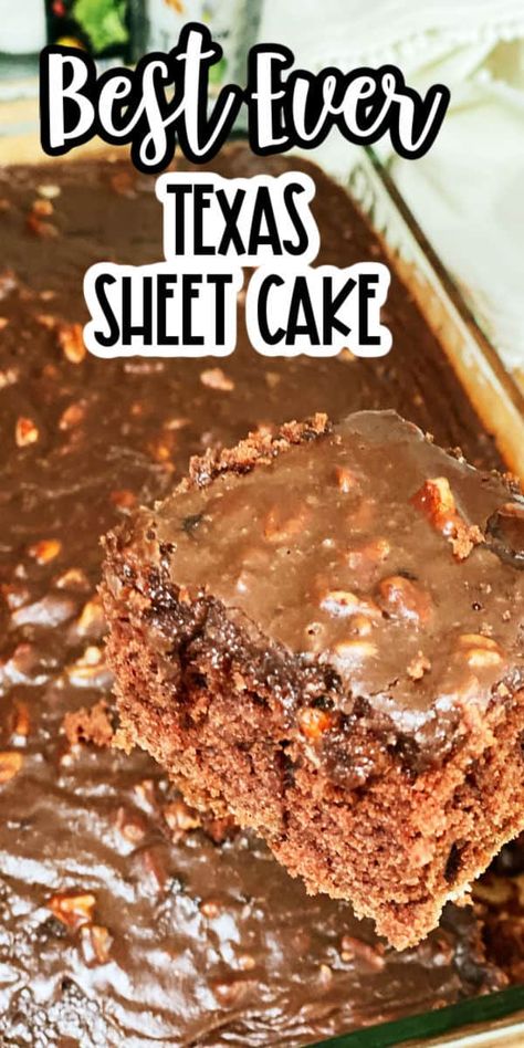 Original Texas Sheet Cake Recipe, Best Texas Sheet Cake Recipe, Texas Chocolate Sheet Cake, Chocolate Sheet Cake Recipe, Texas Sheet Cake Recipe, Sheet Cake Recipe, Texas Sheet, Chocolate Cake Recipe Easy, Texas Sheet Cake