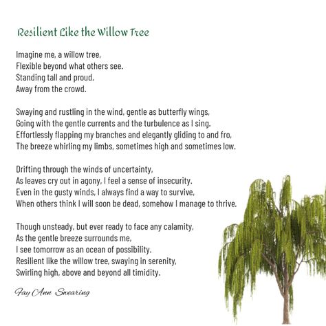 Resilient Like The Willow Tree – The Inspirational Room by Fay Ann Swearing Willow Tree Symbolism, A Willow Tree, Imagine Me, Weeping Willow Tree, Weeping Willow, Willow Tree, Above And Beyond, Stand Tall, Butterfly Wings