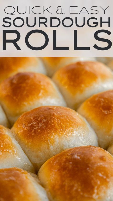 Easy Sourdough Rolls, Discard Dinner Rolls, Sourdough Discard Dinner Rolls, Sourdough Discard Dinner, Discard Rolls, Sourdough Discard Rolls, Dough Starter Recipe, Sourdough Dinner, Sourdough Starters