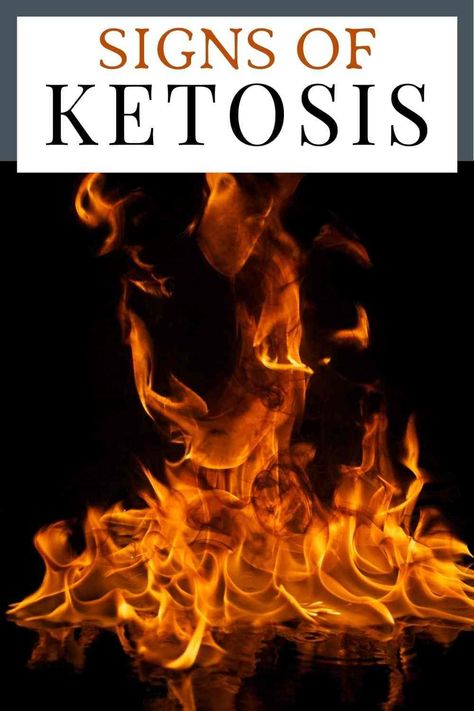 Check out these 5 Sings of Ketosis on Your Keto or Low Carb Journey. Learn how to recognize ketosis in your body as you begin this keto diet with ease! #ketosis #ketodiet #keto Signs Of Ketosis, Exogenous Ketones, Ketosis Fast, Keto Plan, No Carb Recipes, Best Keto Diet, Low Carb Paleo, Keto Diet Meal Plan, Morning Food