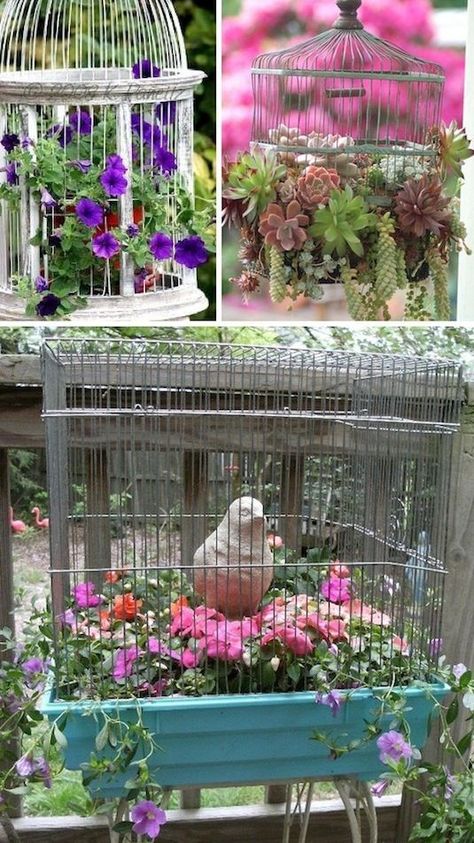 Garden Container Ideas, Ideas Para Decorar Jardines, Birdcage Planter, Garden Container, Container Ideas, Patio Planters, Garden Containers, Creative Gardening, Bird Cages