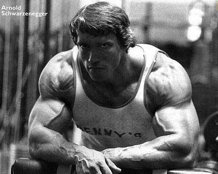 Arnold Arnold Schwarzenegger Bodybuilding, Fitness Park, Schwarzenegger Bodybuilding, Bodybuilding Pictures, Gym Partner, Big Biceps, Trening Fitness, Mr Olympia, Workout Music