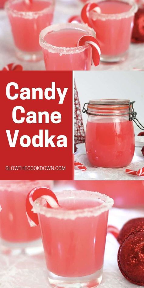 Candy Cane Jello Shots Recipe, Infused Vodka Recipes Christmas, Christmas Shooter Ideas, Xmas Shots Alcohol, Christmas Infused Vodka, Christmas Drinks Shots, Peppermint Infused Vodka, Christmas Vodka Drinks Holidays, Christmas Alcoholic Shots