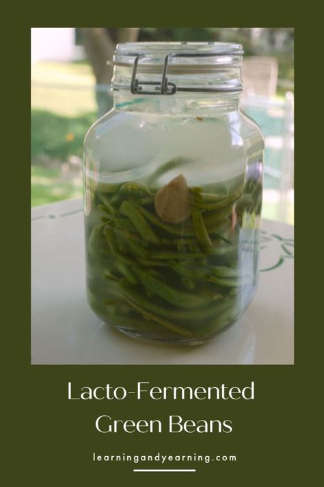 Homemade lacto-fermented green beans! Fermented Green Beans Recipe, Probiotic Lemonade, Fermented Green Beans, Garden Fruits And Vegetables, Honey Mustard Salad Dressing, Preparedness Ideas, Preserving Vegetables, Garlic Yogurt, Fermenting Weights