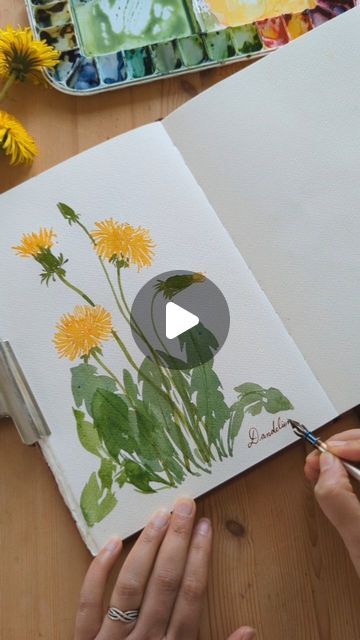 Dandelion Watercolor Painting, How To Paint Flowers & Leaves, Paint Dandelion, Watercolour Journaling, Flowers To Paint, Watercolor Dandelion, Dandelion Drawing, Painting Leaves, Wildflower Drawing