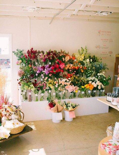 #Events #Flower #DecorInspiration #with #Bar #Floral #Creativity #Elevating #InteriorDesign #InteriorInspo #Ideas Flower Bar Ideas, Florist Shop Interior, Native Poppy, Flower Shop Display, Flower Shop Interiors, Florist Studio, Floral Design Business, Flower Shop Decor, Flower Shop Design